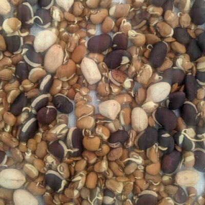 Sprouted Health Mix Flour