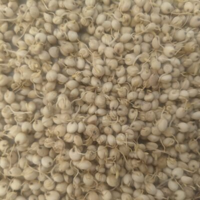 Sprouted Sorghum Millet Flour
